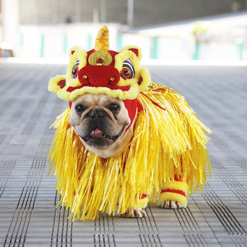 French Bulldog Lion Costume