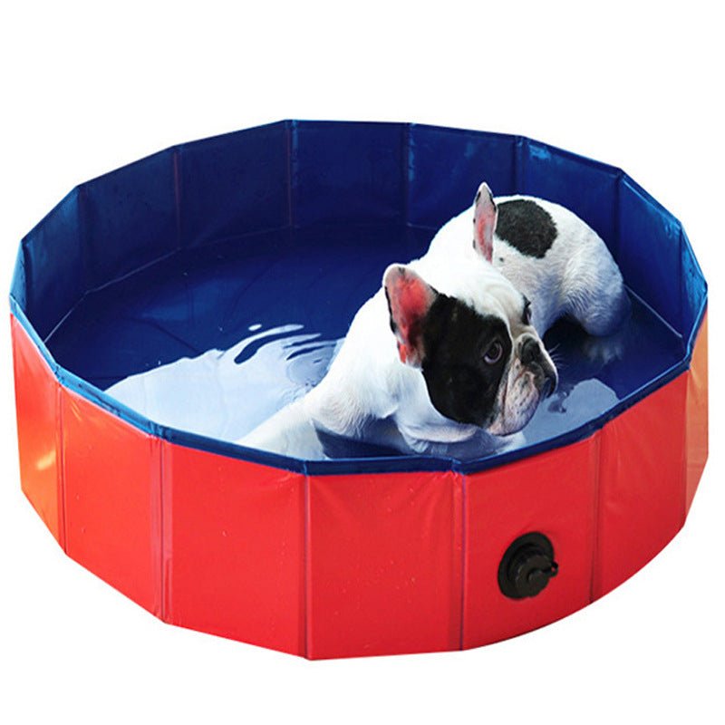Swimming Pool for Dogs