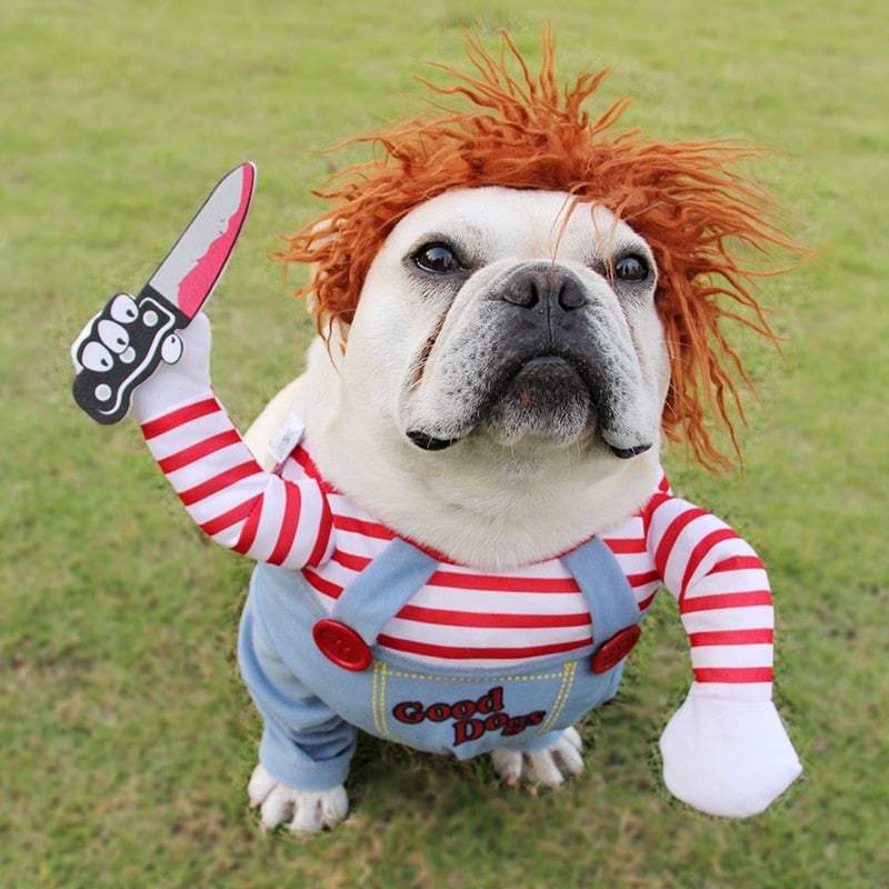 Chucky French Bulldog Deadly Doll Costume
