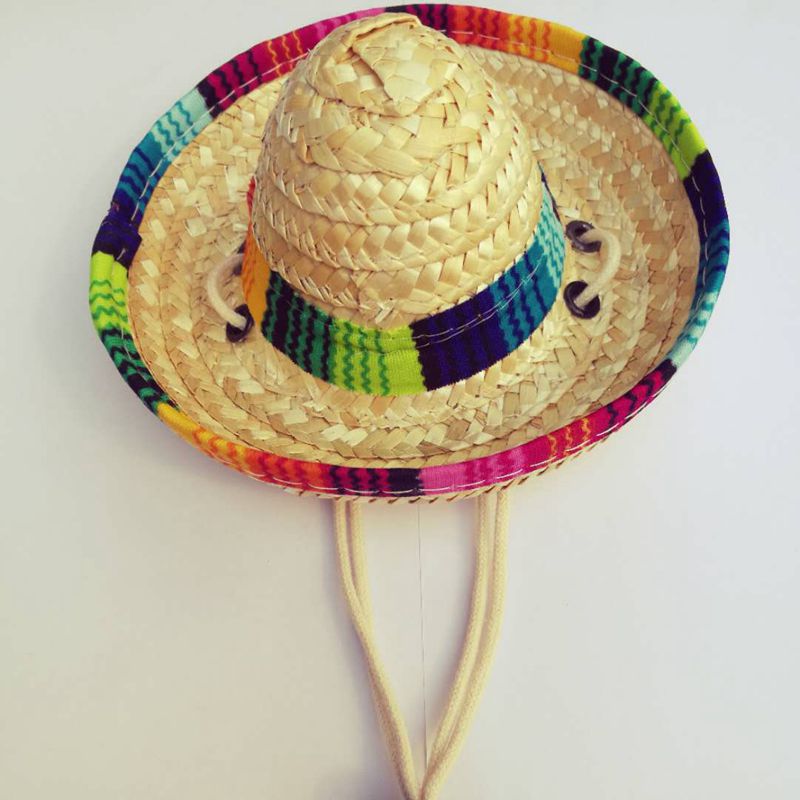 Straw French Bulldog Hat