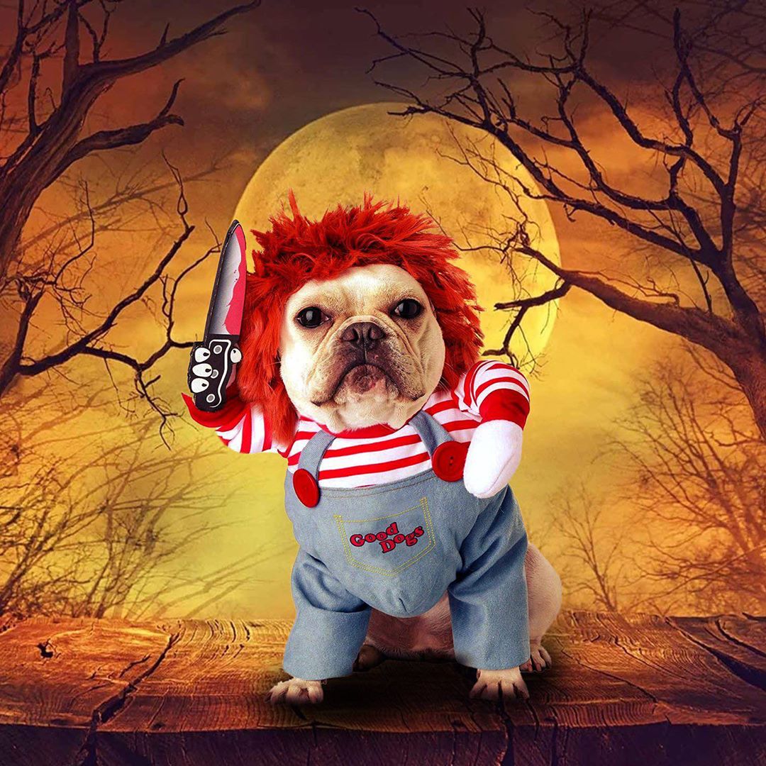 Chucky French Bulldog Deadly Doll Costume