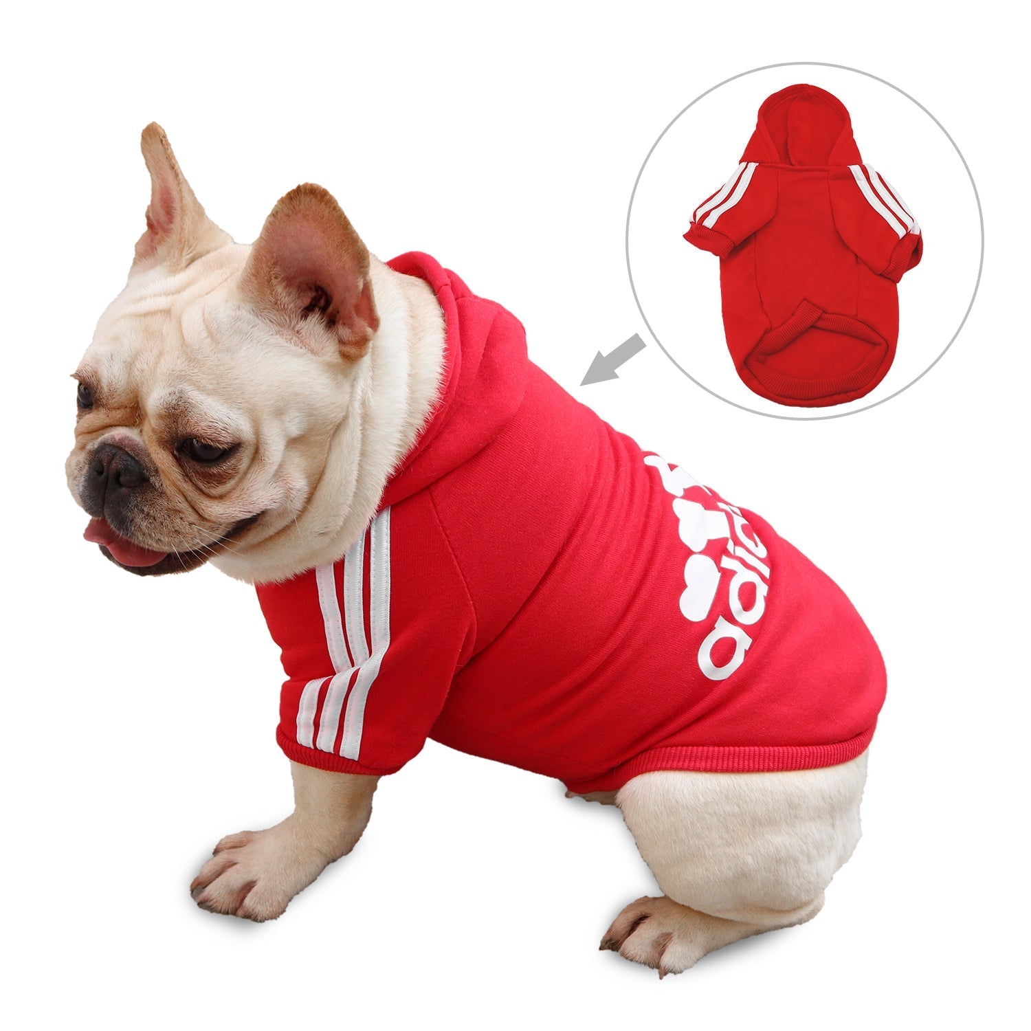 Adidog french bulldog hotsell