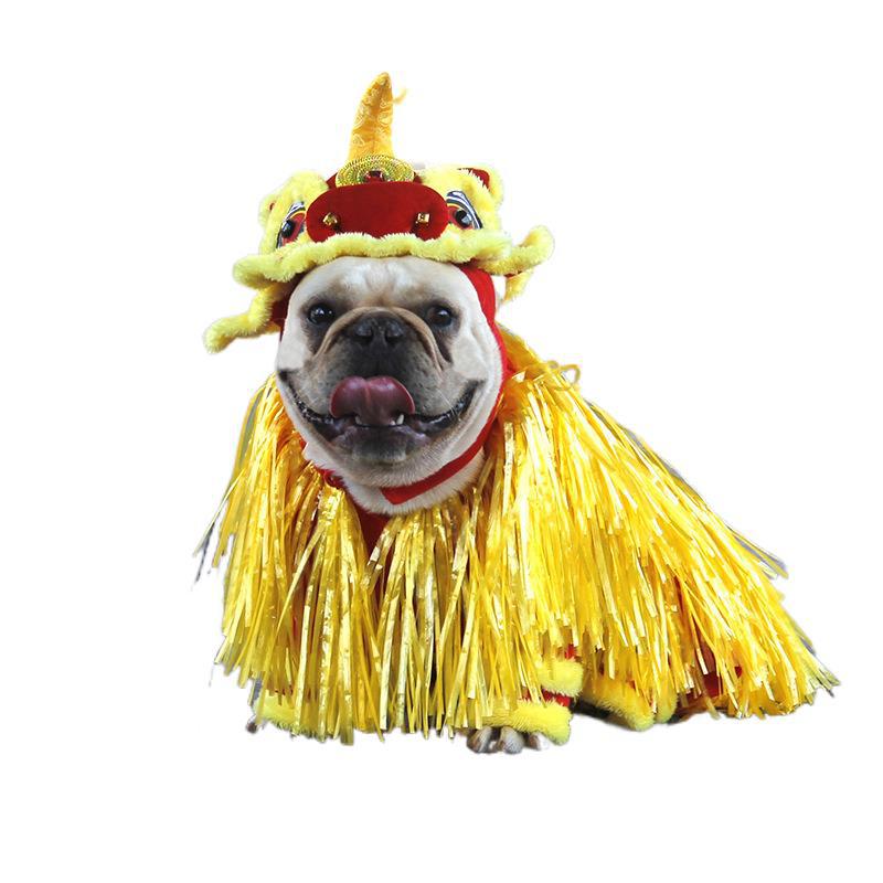 French Bulldog Lion Costume