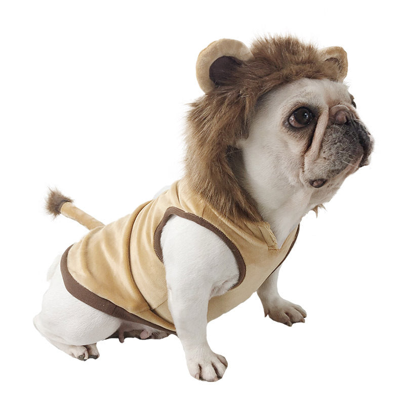 Lion French Bulldog Costume