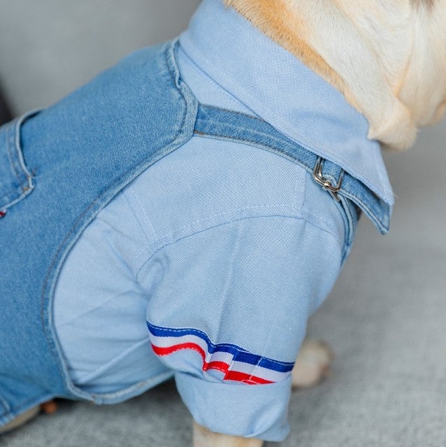 Jeans Jumpsuit for French Bulldog
