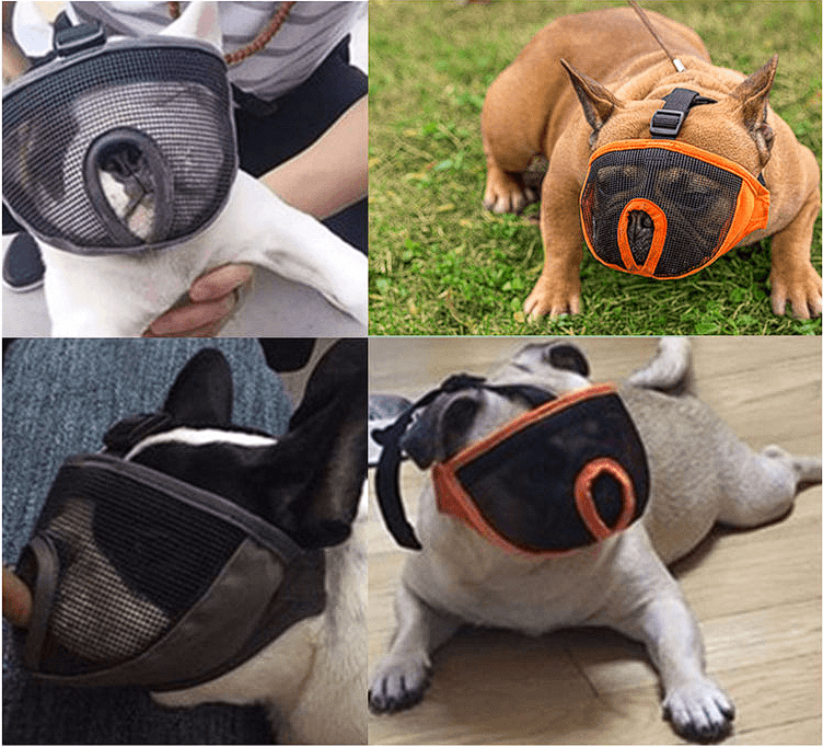 Muzzle for French Bulldogs