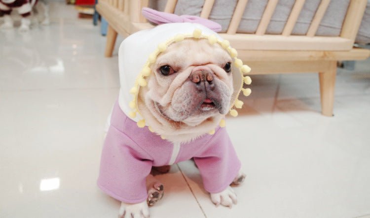 Princess French Bulldog Sweater