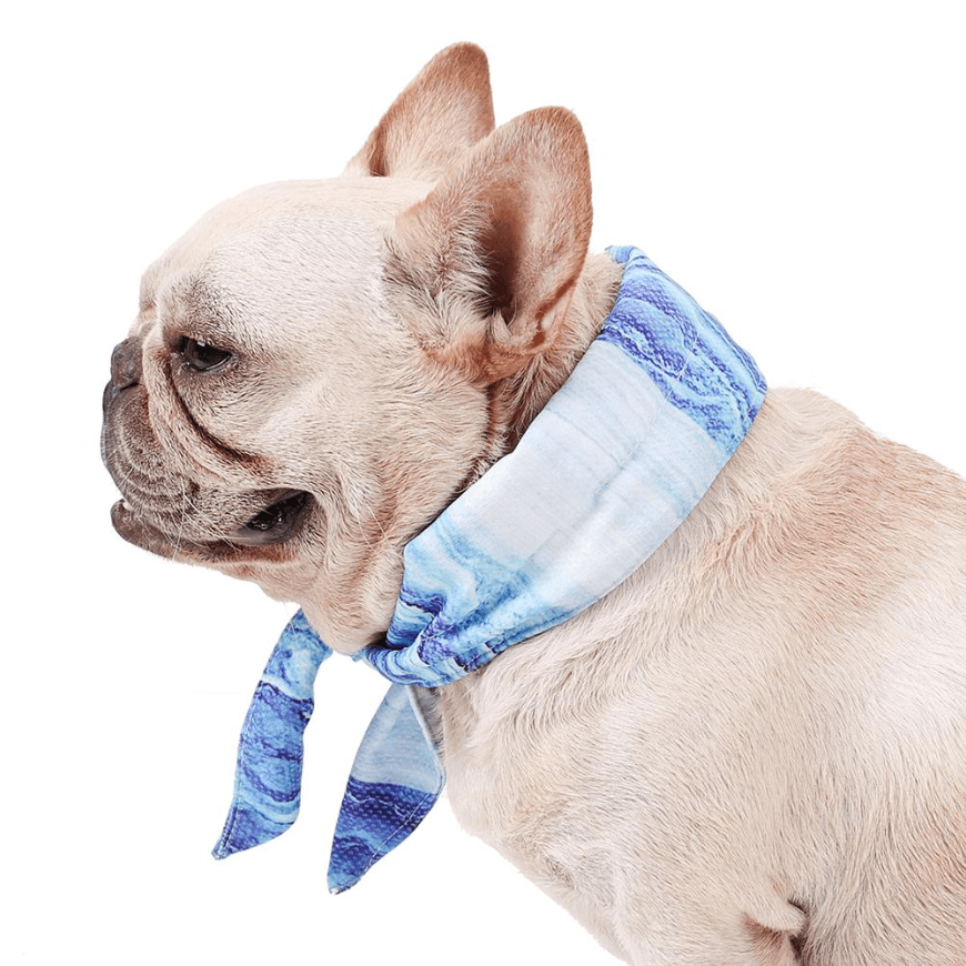 Ultra Cooling French Bulldog Bandana