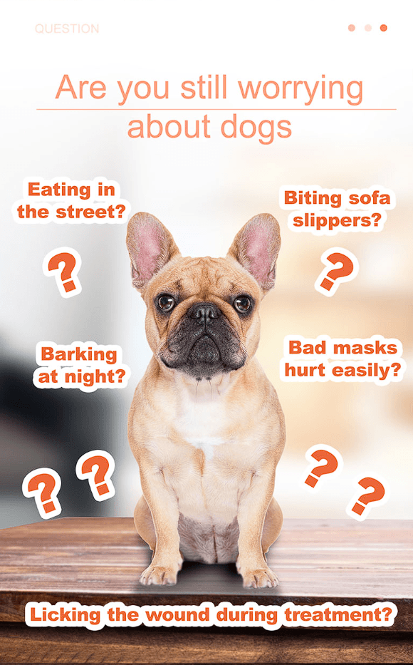 Muzzle for French Bulldogs