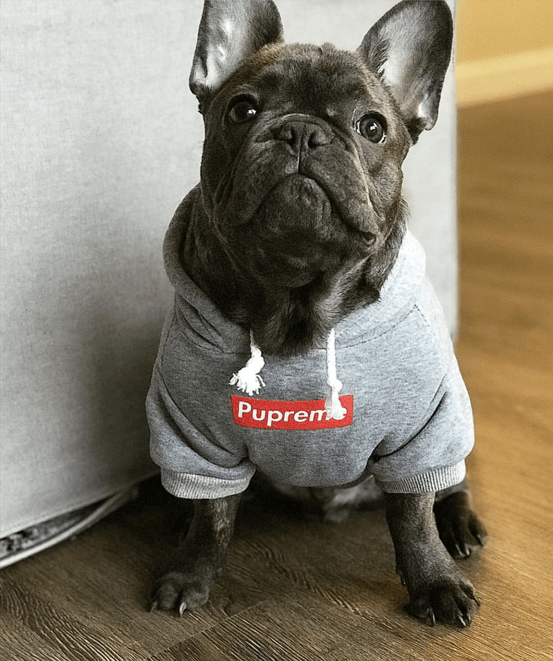 Pupreme French Bulldog Hoodie
