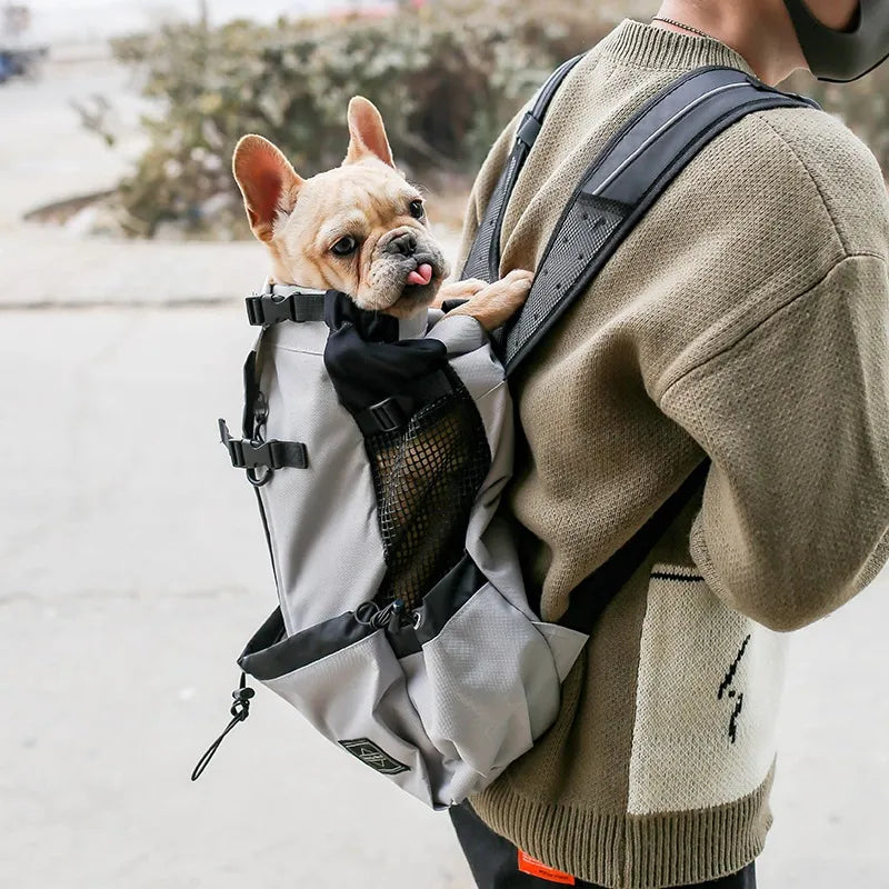 Backpack French Bulldog