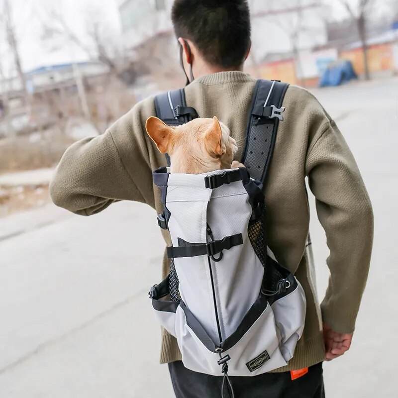 Backpack French Bulldog