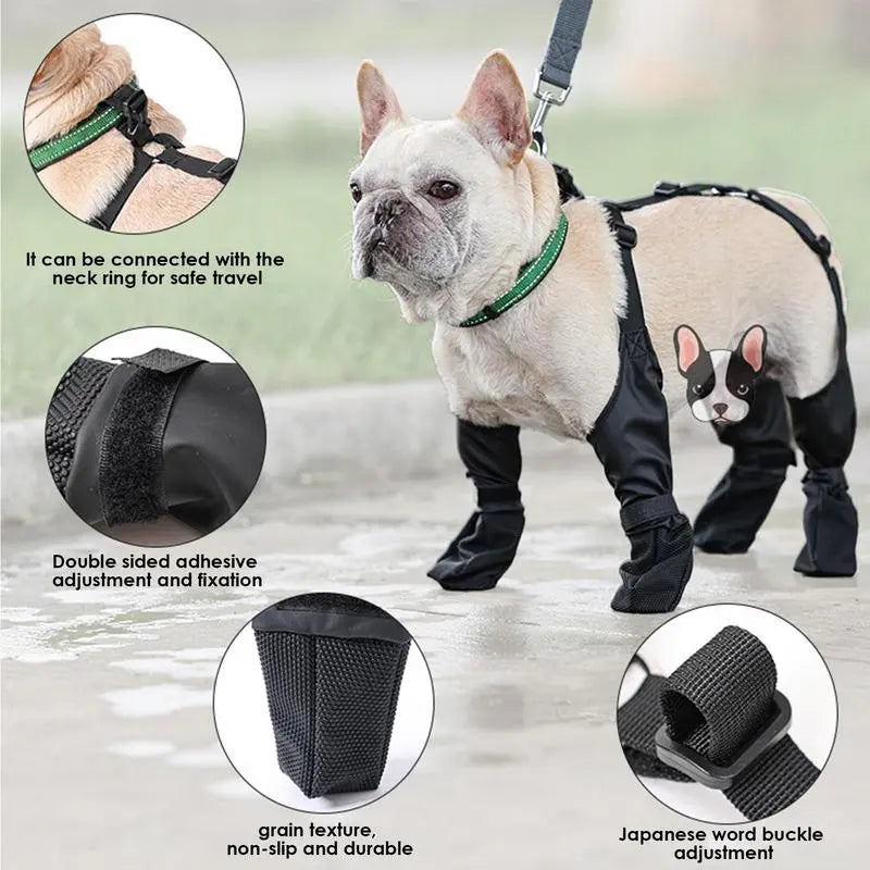 French Bulldog Footwear: Elevate Your Frenchie's Comfort and Style