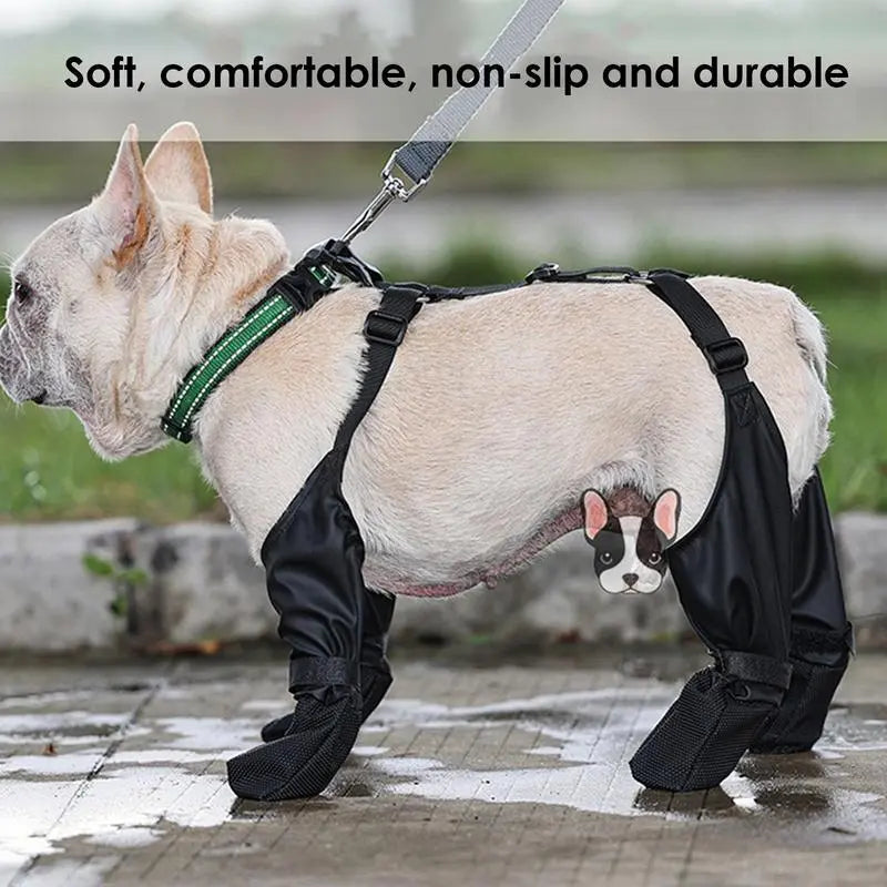 French Bulldog Footwear: Elevate Your Frenchie's Comfort and Style