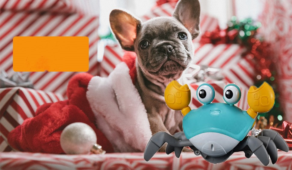 Frenchie interactive Crab Toy