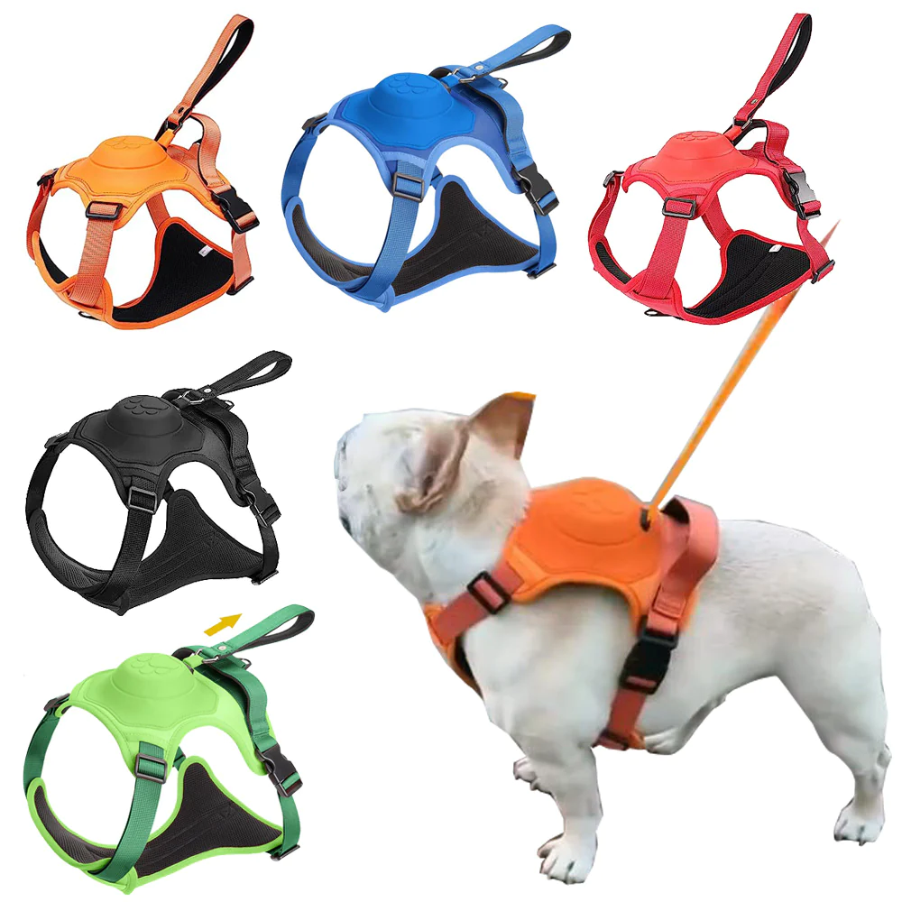 All-in-One Frenchie Harness and Retractable Leash Set