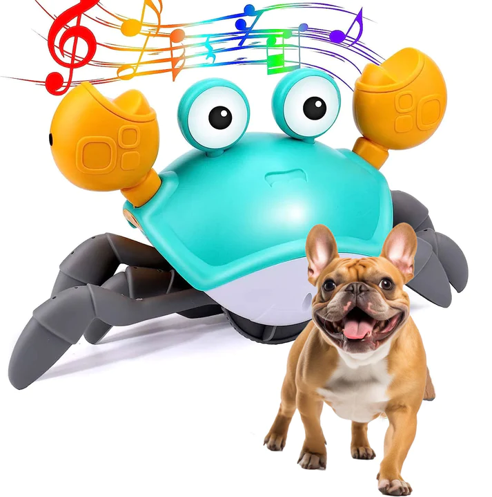 Frenchie interactive Crab Toy