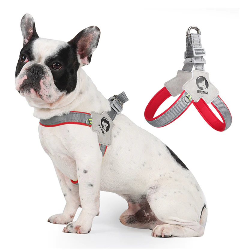 LightLatch No Pull Reflective Harness Delivers