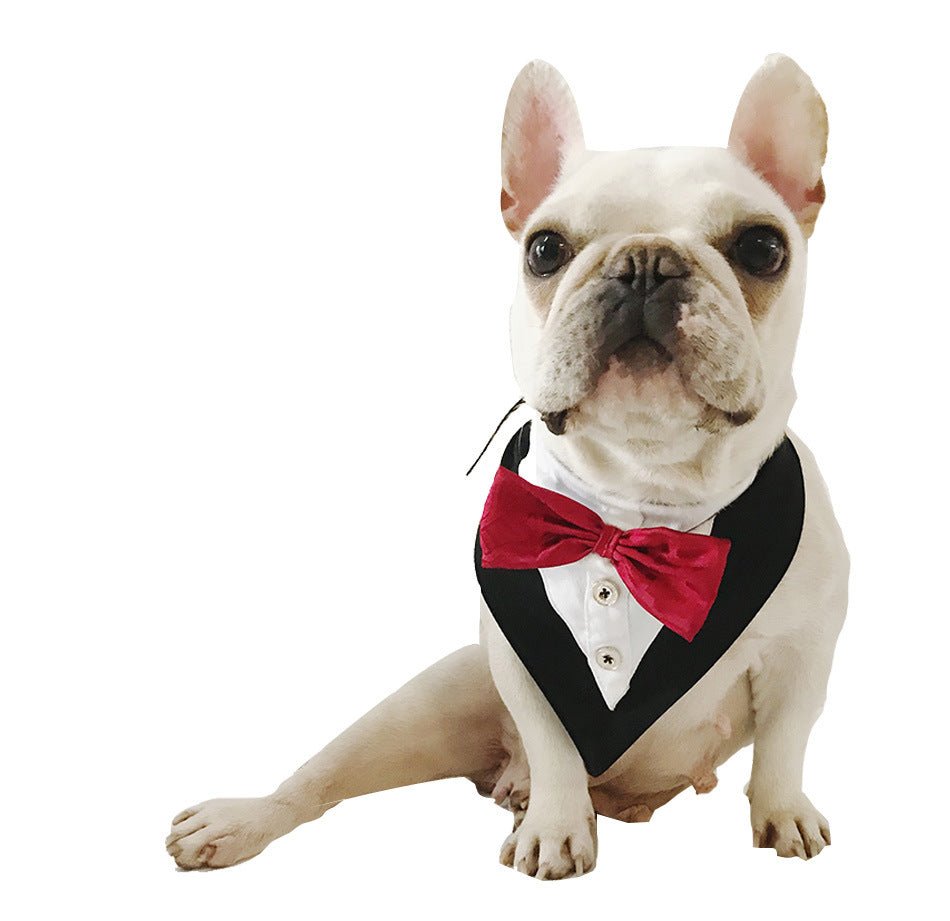 Elegant French Bulldog Bandana