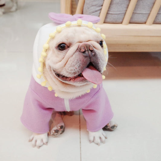 Princess French Bulldog Sweater