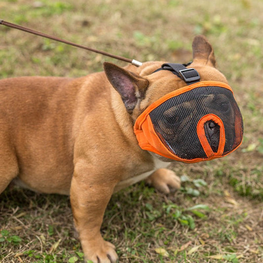 Muzzle for French Bulldogs