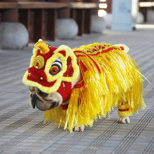 French Bulldog Lion Costume