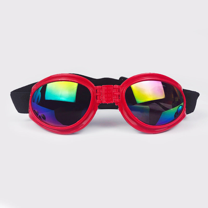 UV Sunglasses Frenchie Bulldog