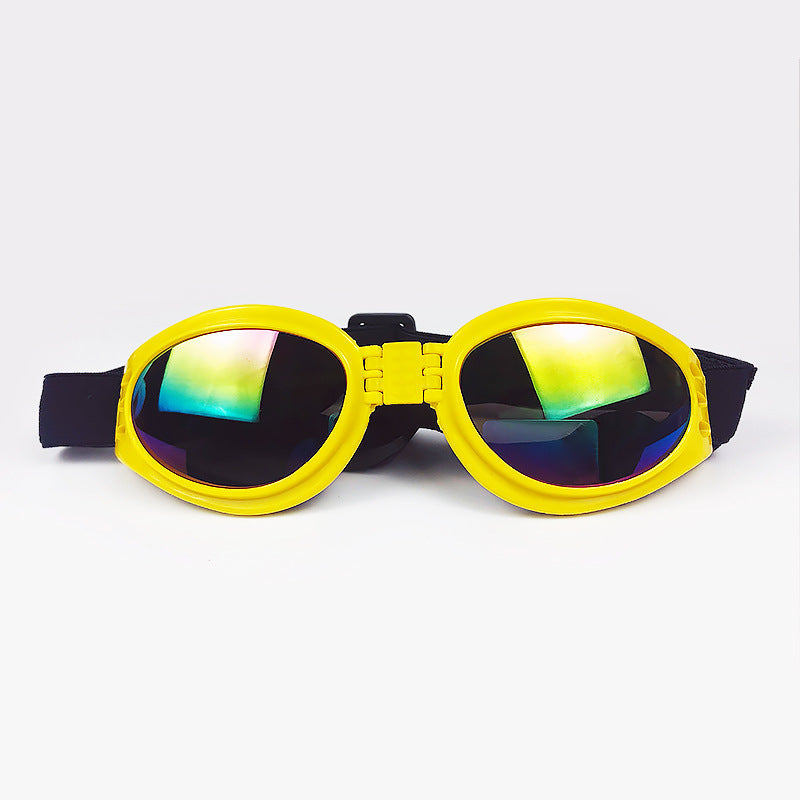 UV Sunglasses Frenchie Bulldog