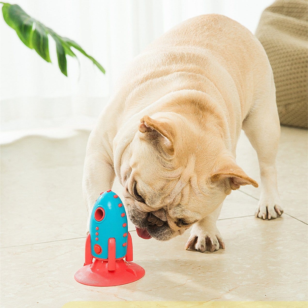 Special Rocket Dog Toy