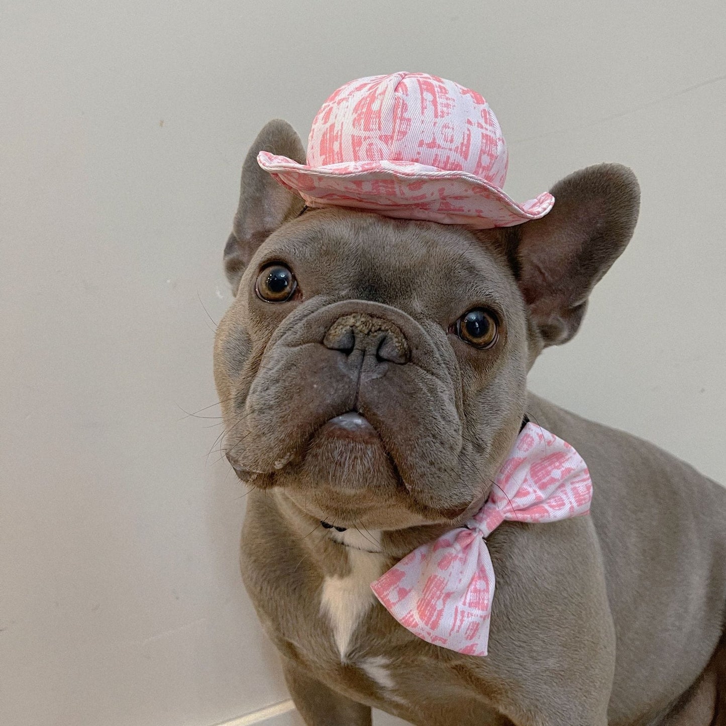 Frenchie Unisex Hat