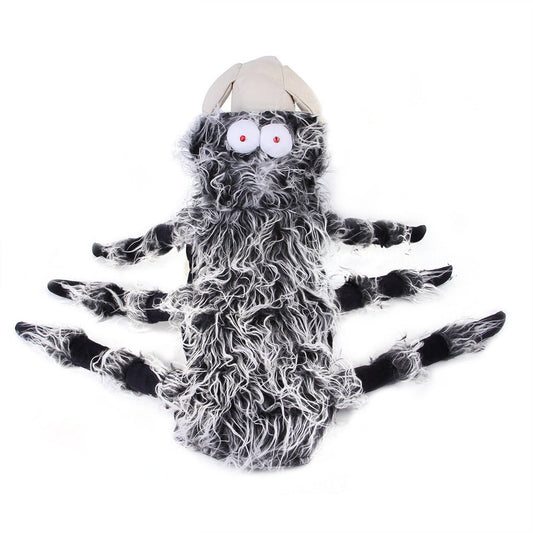 Spider French Bulldog Costume