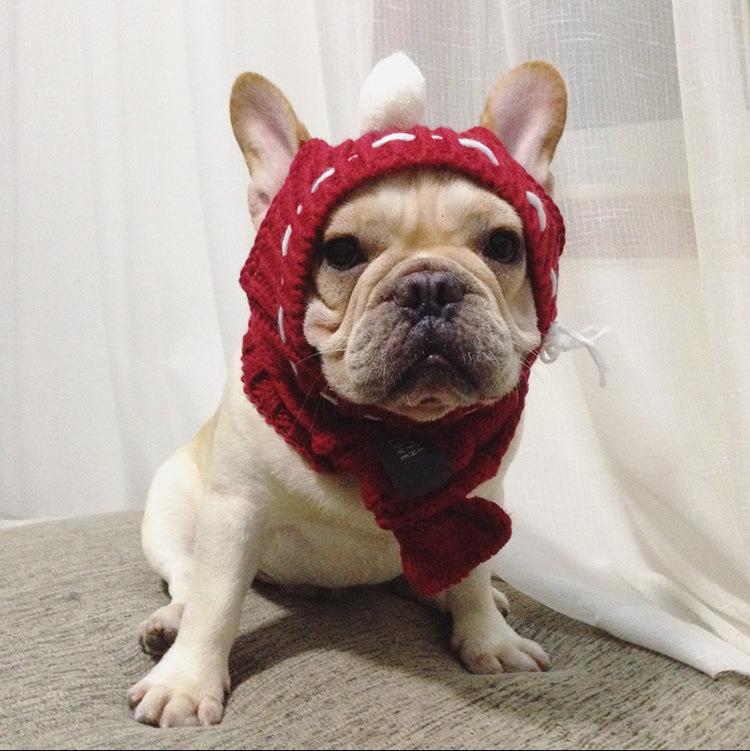 Woolen French Bulldog Hat