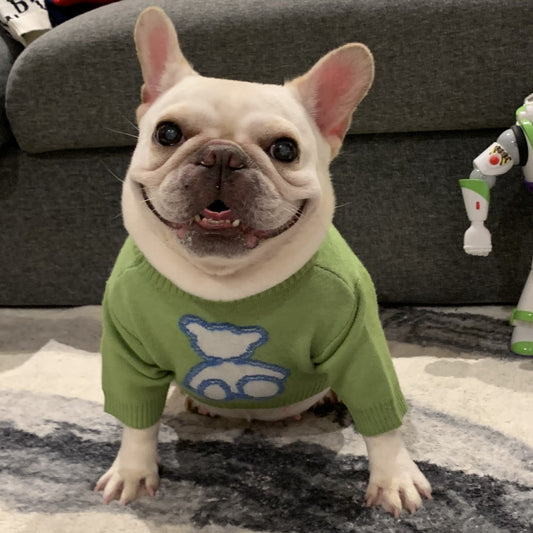 Green Woolen French Bulldog Sweater