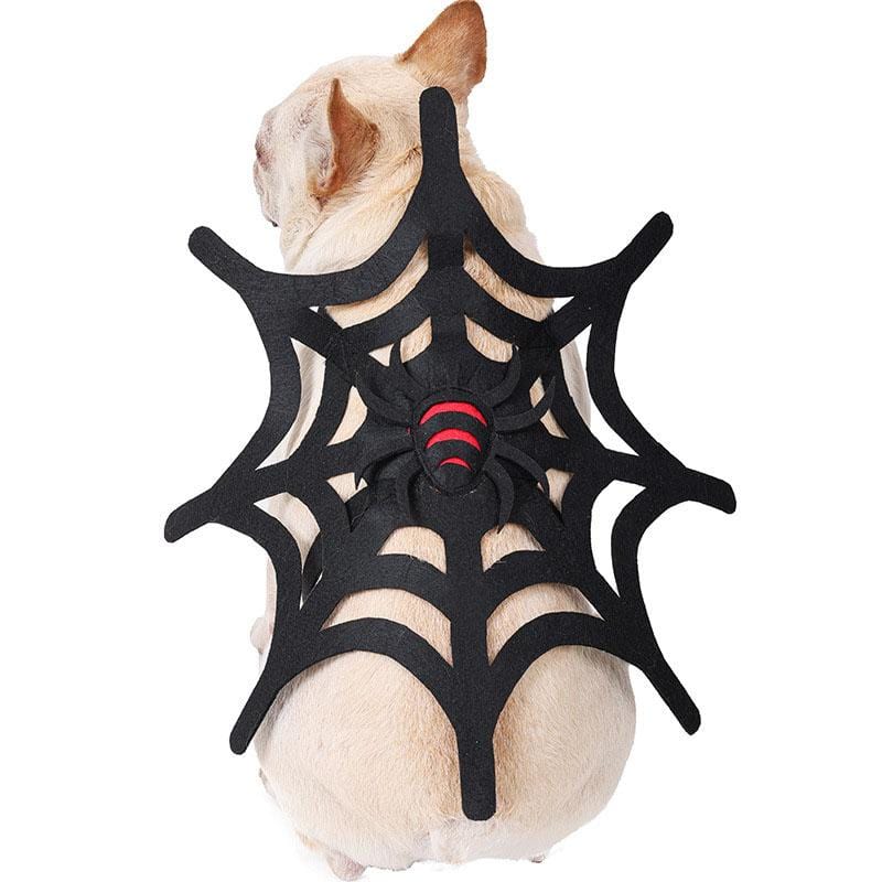 French Bulldog Spider Costume