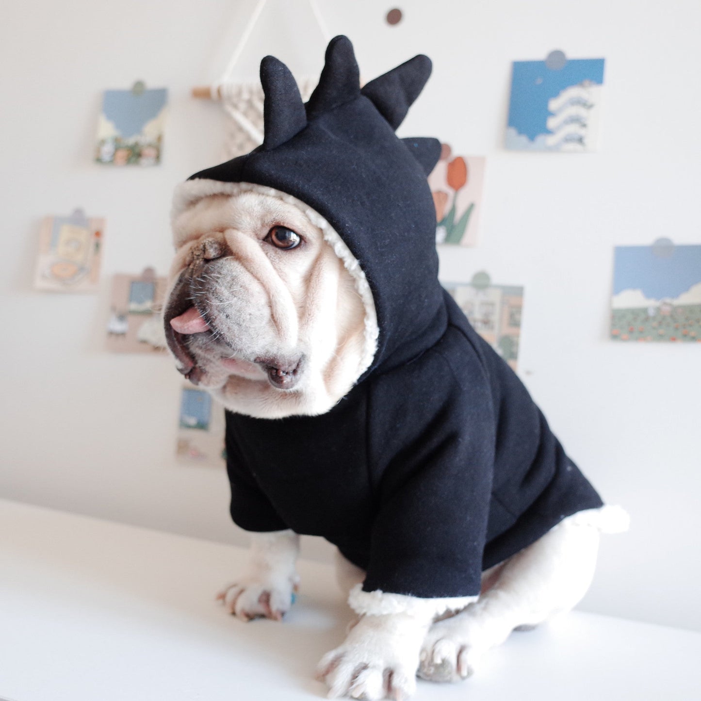 Black French Bulldog Hoodie