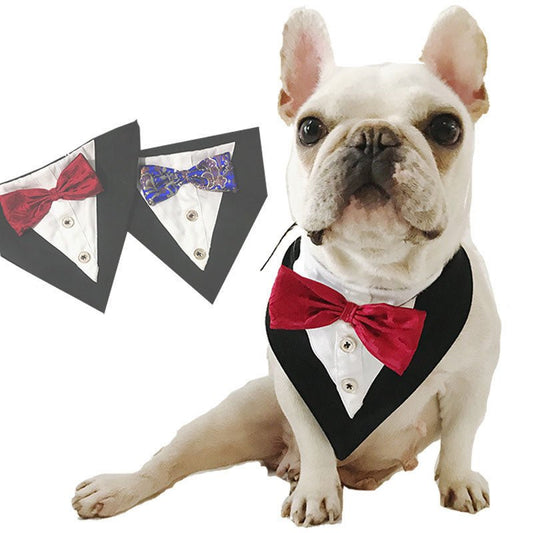 Elegant French Bulldog Bandana