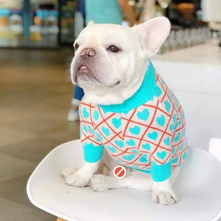 Blue Hearts French Bulldog Sweater