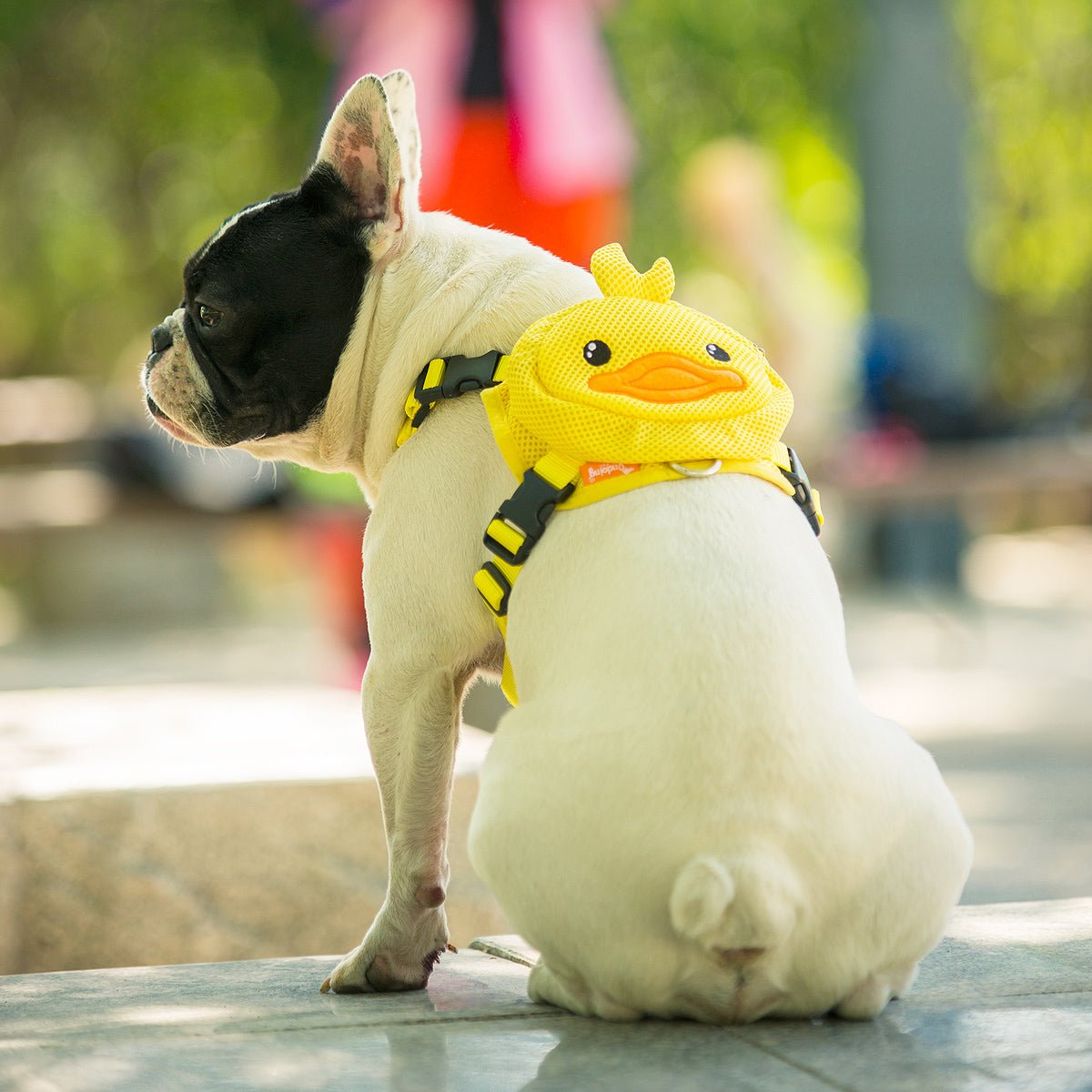 French Bulldog Backpack Harness Set