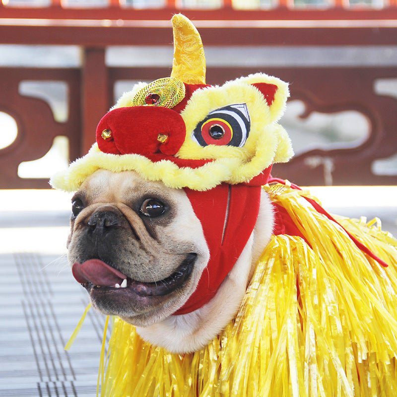 French Bulldog Lion Costume