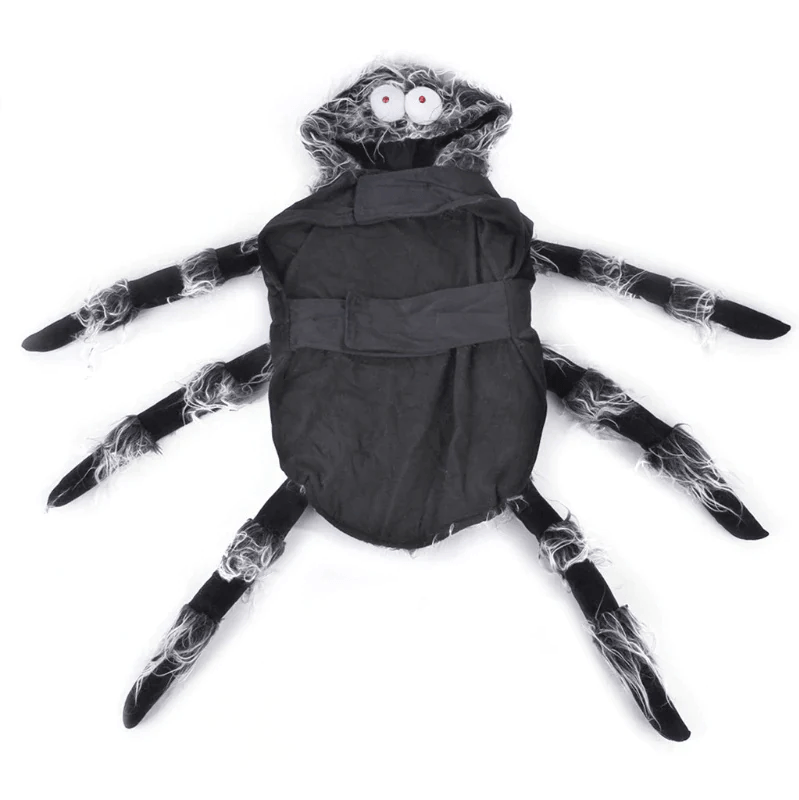 Spider French Bulldog Costume