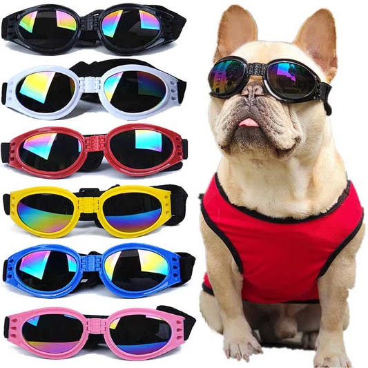 UV Sunglasses Frenchie Bulldog