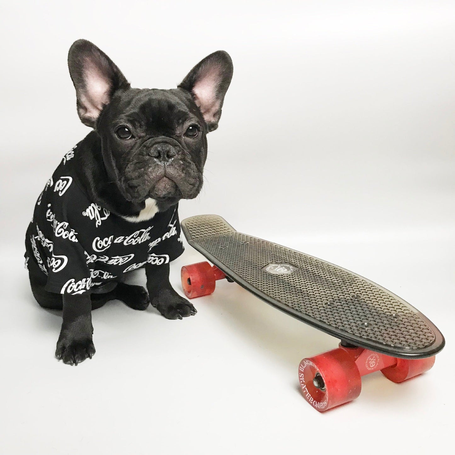 Frenchie Coca Cola Shirt