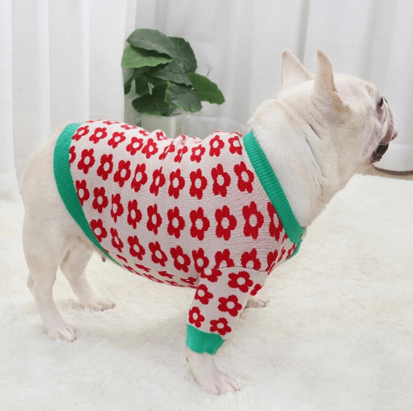 Frenchie Flower Sweater