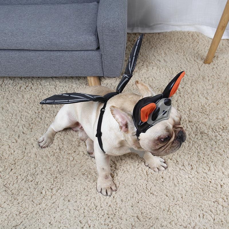 French Bulldog Halloween Hat