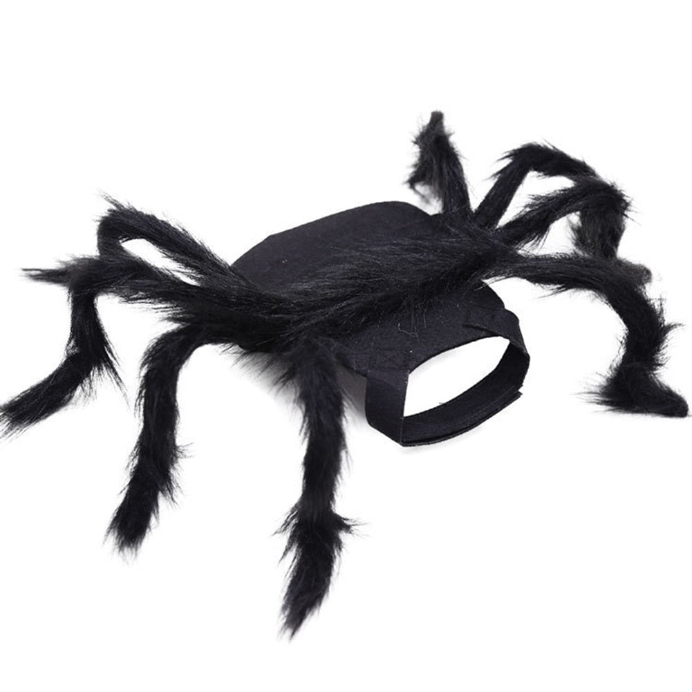 Black Spider Frenchie Costume