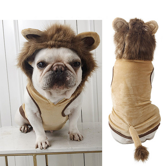 Lion French Bulldog Costume