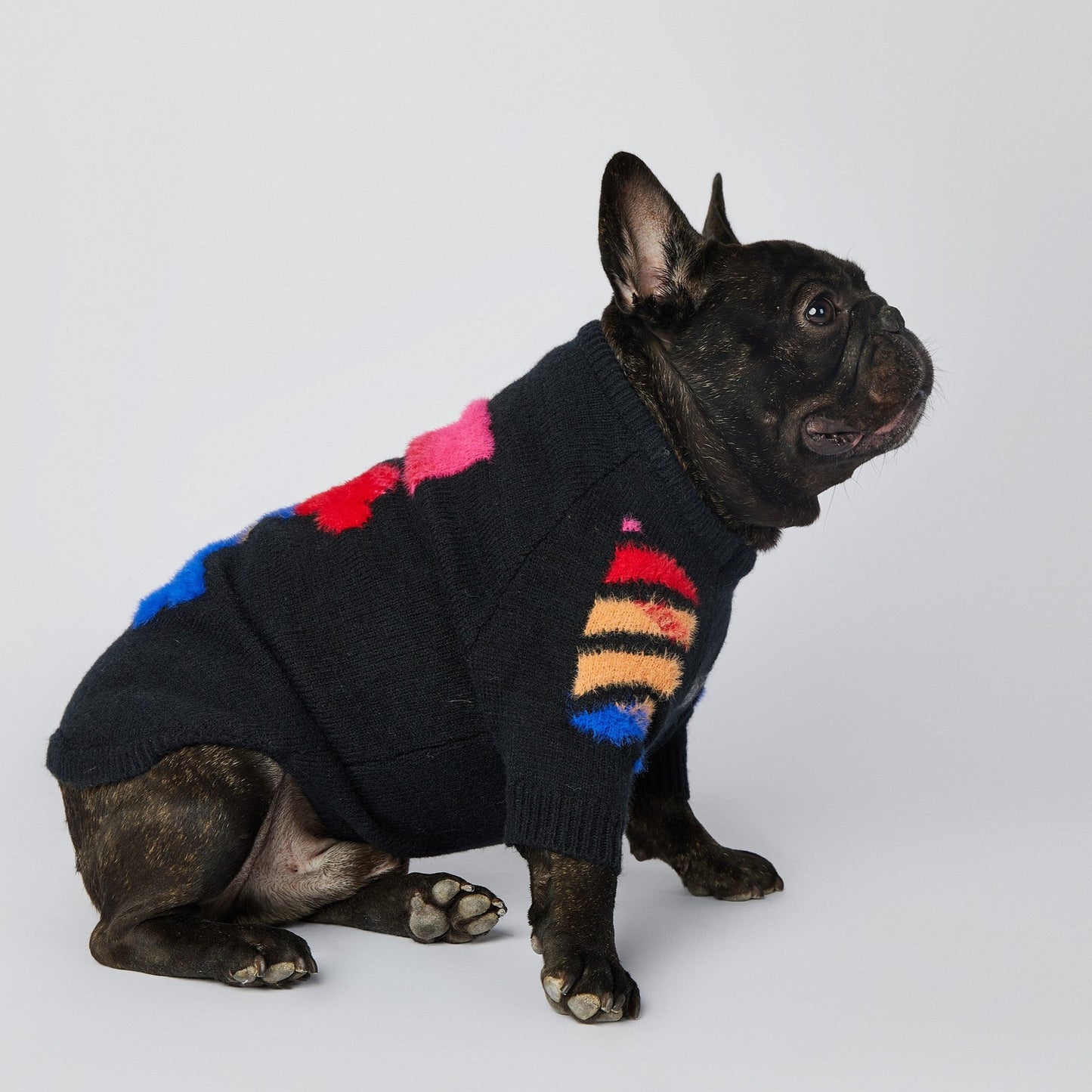 Woof French Bulldog Hoodie