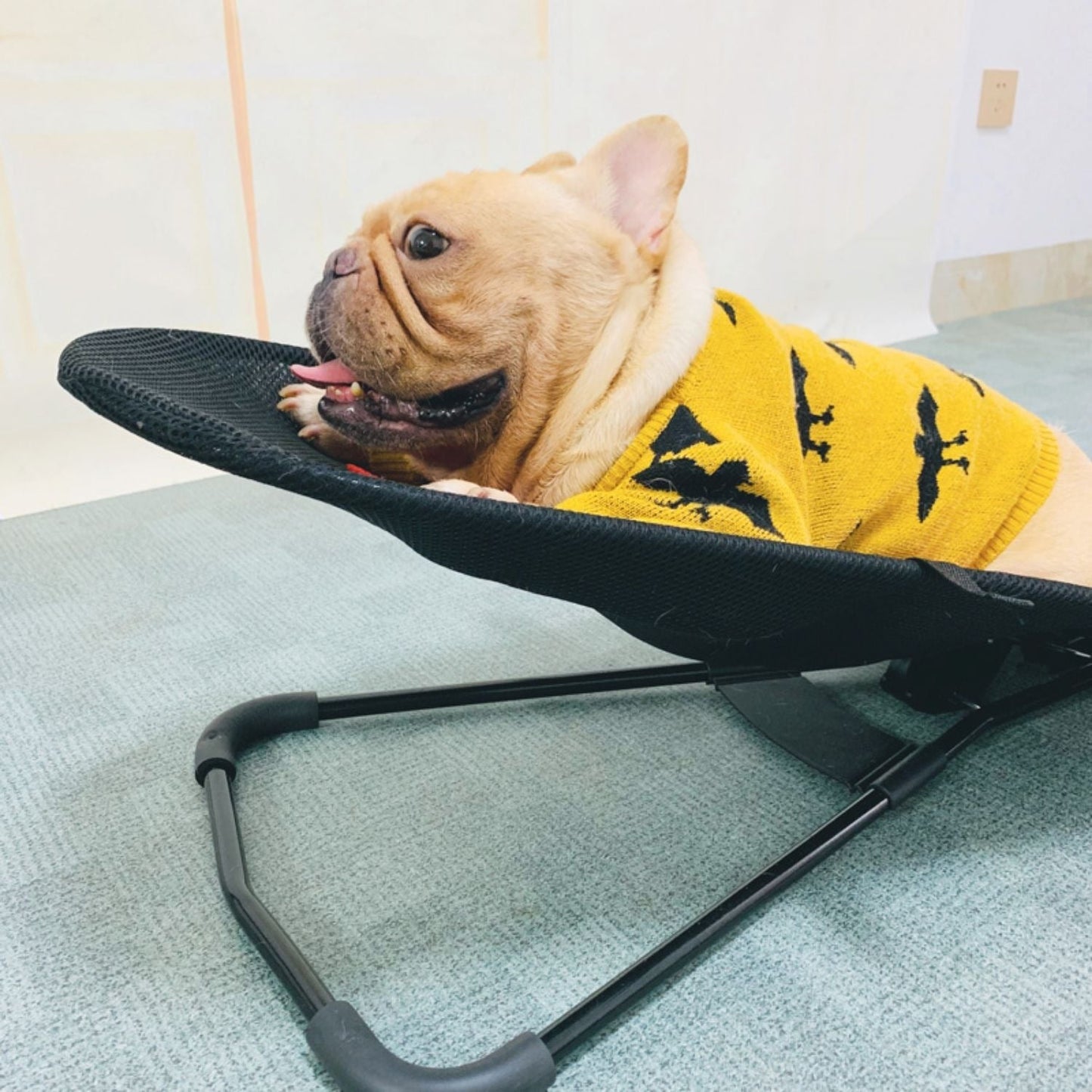 French Bulldog Bliss: The Ultimate Portable Rocking Chair for Pooch Pampering