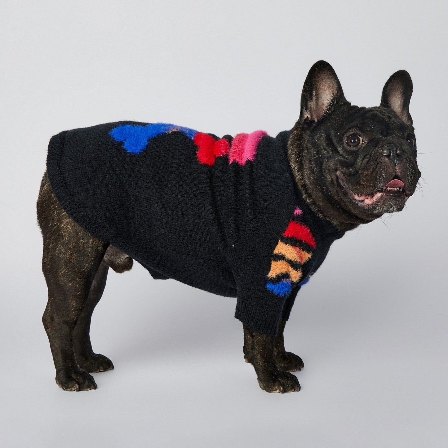 Woof French Bulldog Hoodie