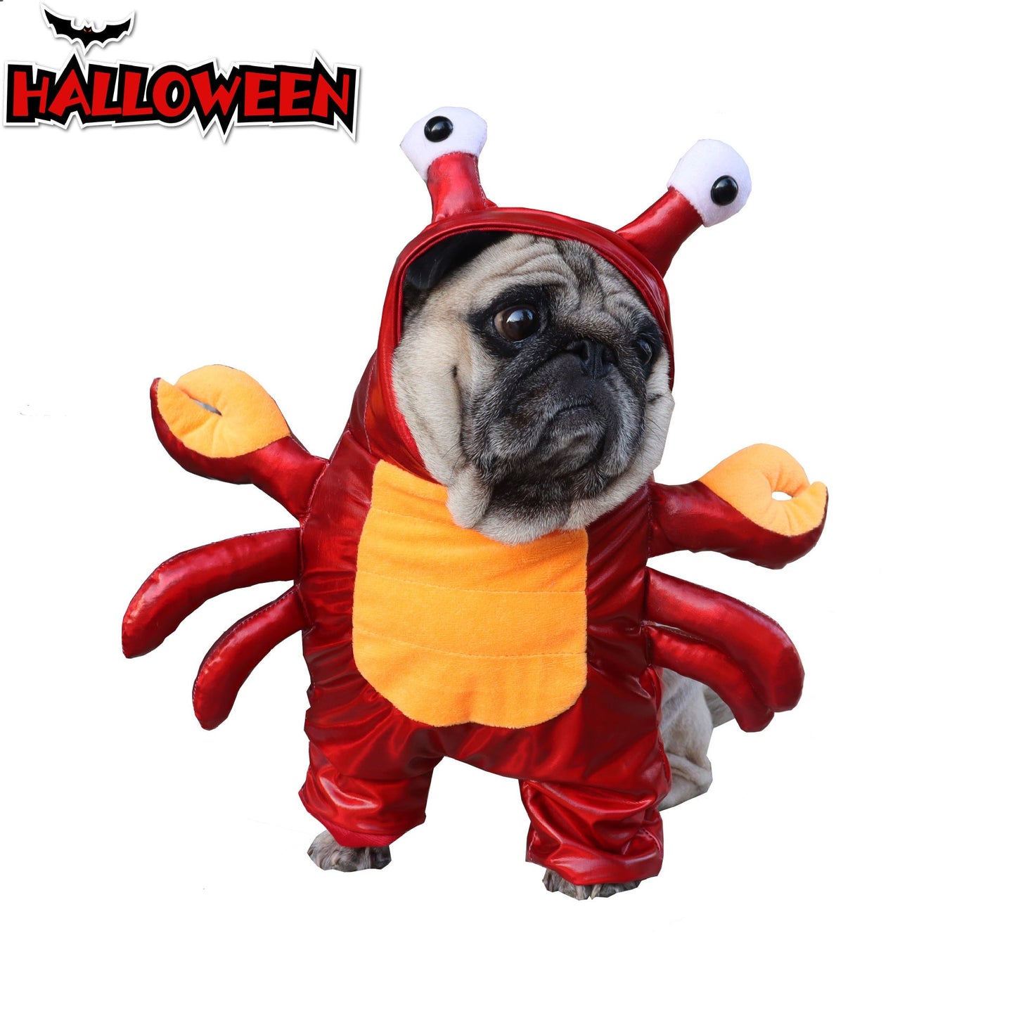 Crab French Bulldog Costume